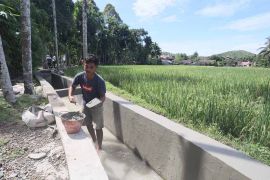 Aceh Selatan alokasikan Rp1,6 miliar untuk pemulihan areal pertanian