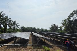 PLN perluas energi bersih melalui PLTS Sebatik 150 kWp