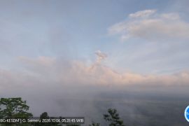 Gunung Semeru erupsi dengan tinggi letusan 900 meter