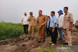Gubernur Kalteng pacu percepatan konektivitas Sukamara-Ketapang
