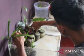 Lapas Ambon latih WBP membuat seni tata taman air