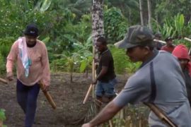 Musik Wela-wela ekspresi budaya tradisional gotong Royong masyarakat agraris dari Sahu