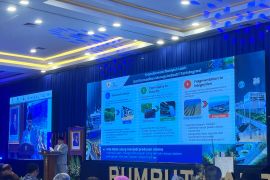 Seaweed key to sustainable industrialization: Bappenas