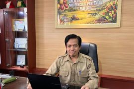 BBRMP Maluku catat LTT capai 14.750 hektare hingga September 2026