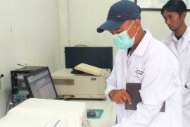 BBRMP Maluku tingkatkan kompetensi SDM dan mutu komoditas pertanian
