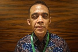 Indonesia to begin Giant Sea Wall project with mangroves