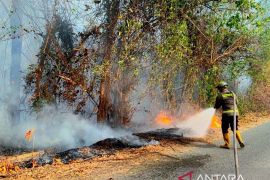 Tim gabungan padamkan kebakaran lahan di Bone Bolango