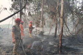 Satgas Karhutla temukan 2,5 hektare lahan terbakar di Batang Hari