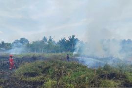 BPBD Belitung padamkan kebakaran lahan di Jalan Air Bulo