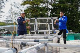 PT Timah - HNSI tenggelamkan atraktor cumi di Perairan Bangka