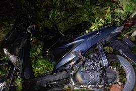 Seorang pemuda tewas tertimpa pohon tumbang di jalan umum Purbasari Simalungun