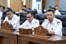 Pemkab Banjar perjuangkan dukungan pemerintah pusat tangani karhutla