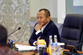 Indonesia eyes strategic project status for more industrial parks