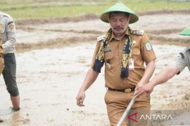 Pemkab Kerinci gencarkan pertanian berbasis teknologi PM-AAS