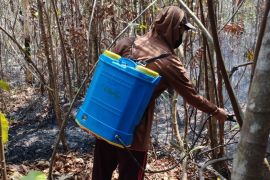 KemenHAM Babel dampingi warga Desa Air Bara tangani karhutla
