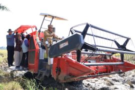 Dua tahun beruntun juara produksi padi Sumut, Sergai cetak 356 ribu ton gabah