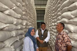 Bulog serap 4,11 Juta Ton beras, penyerapan gabah di Karo capai 91,15 Persen
