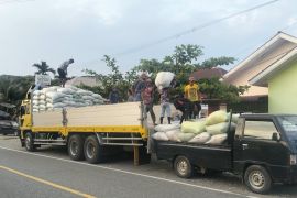 Produksi beras di Abdya surplus 10 ribu ton, jari rebutan pedagang luar daerah