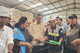 Lewati target, Bulog Maluku capai pengadaan 4,11 juta ton setara beras
