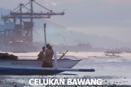 "Celukan Bawang" jadi potret warga pesisir Bali di tengah pembangunan infrastruktur energi