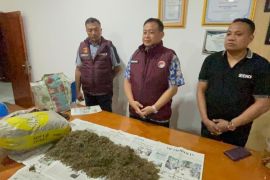 Papua Police foils 10-kg drug smuggling attempt from Papua New Guinea