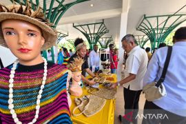 Pembiayaan UMi di Regional Papua Barat jangkau 904 debitur