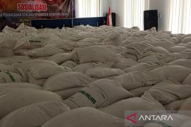 Bulog Samarinda realisasikan pengadaan 18.422 ton gabah beras lokal