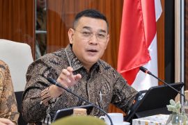 Wamen ATR: Integrasi data tanah jadi kunci tata kelola pertanahan