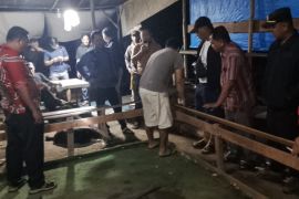 Arena sabung ayam di Karang Bangun Simalungun dibongkar, pemilik dibina