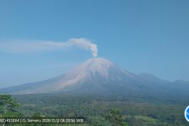 Gunung Semeru erupsi dengan tinggi letusan 900 meter di atas puncak