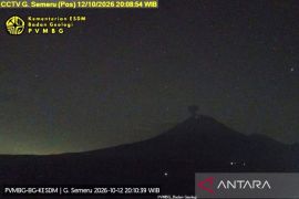 Semeru erupsi terus menerus dengan tinggi letusan capai 1 km
