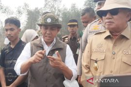 Indonesian govt to sanction six more firms over land fires
