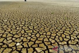 BMKG: Indeks El Nino Kaltim capai 3,44 berintensitas sangat kuat