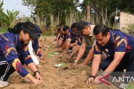 Lanud H AS Hanandjoeddin tanam jagung dukung ketahanan pangan