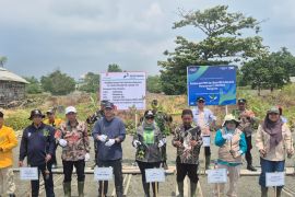 PHE OSES-Pemkab Lamtim perkuat kolaborasi pelestarian ekosistem mangrove pesisir