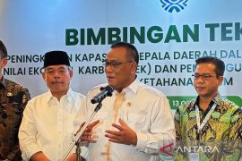 Indonesia urges regional enterprises to tap carbon market