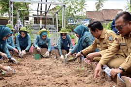 Ketua TP PKK Lampung apresiasi program Teras HELAU Lampung Selatan