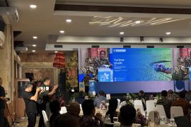 Indonesia seeks more green investment to support clean energy