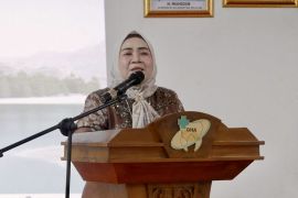 DWP Kalsel ingatkan keluarga tak sebar data pribadi di media sosial