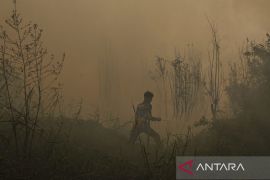 Malaysia angkat isu kabut asap ke ASEAN, akui upaya RI telah maksimal