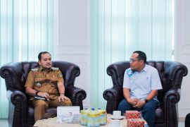 Wali Kota Tebing Tinggi minta PLN percepat listrik kolam renang dan PJU