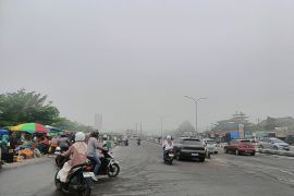 Dinkes Pekanbaru catat 11.707 kasus gangguan kesehatan akibat kabut asap hingga pertengahan Oktober