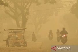 DPRD Palangka Raya soroti risiko kabut asap bagi kelompok rentan