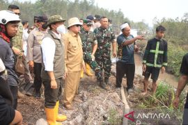 Danlanud Sjamsudin Noor dampingi Menhut tinjau penanggulangan karhutla hutan lindung