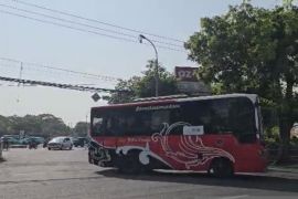 Penumpang Trans Metro Dewata naik imbas antrean BBM