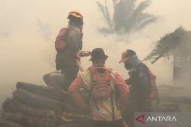 Karhutla di Tapin bakar 53 hektare lahan dalam sehari