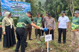 KKI Warsi-Dishut Sumbar percepat rehabilitasi hutan lewat tanam pohon