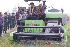 Tangerang perkuat ketahanan pangan lewat modernisasi pertanian