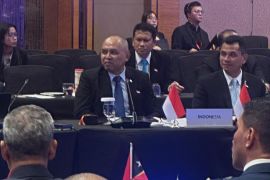 Indonesia dorong penguatan ketahanan siber di kawasan regional ASEAN