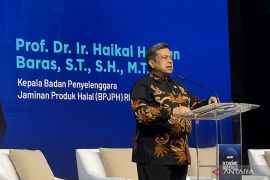 Sinergi lintas instansi pacu implementasi Wajib Halal UMKM